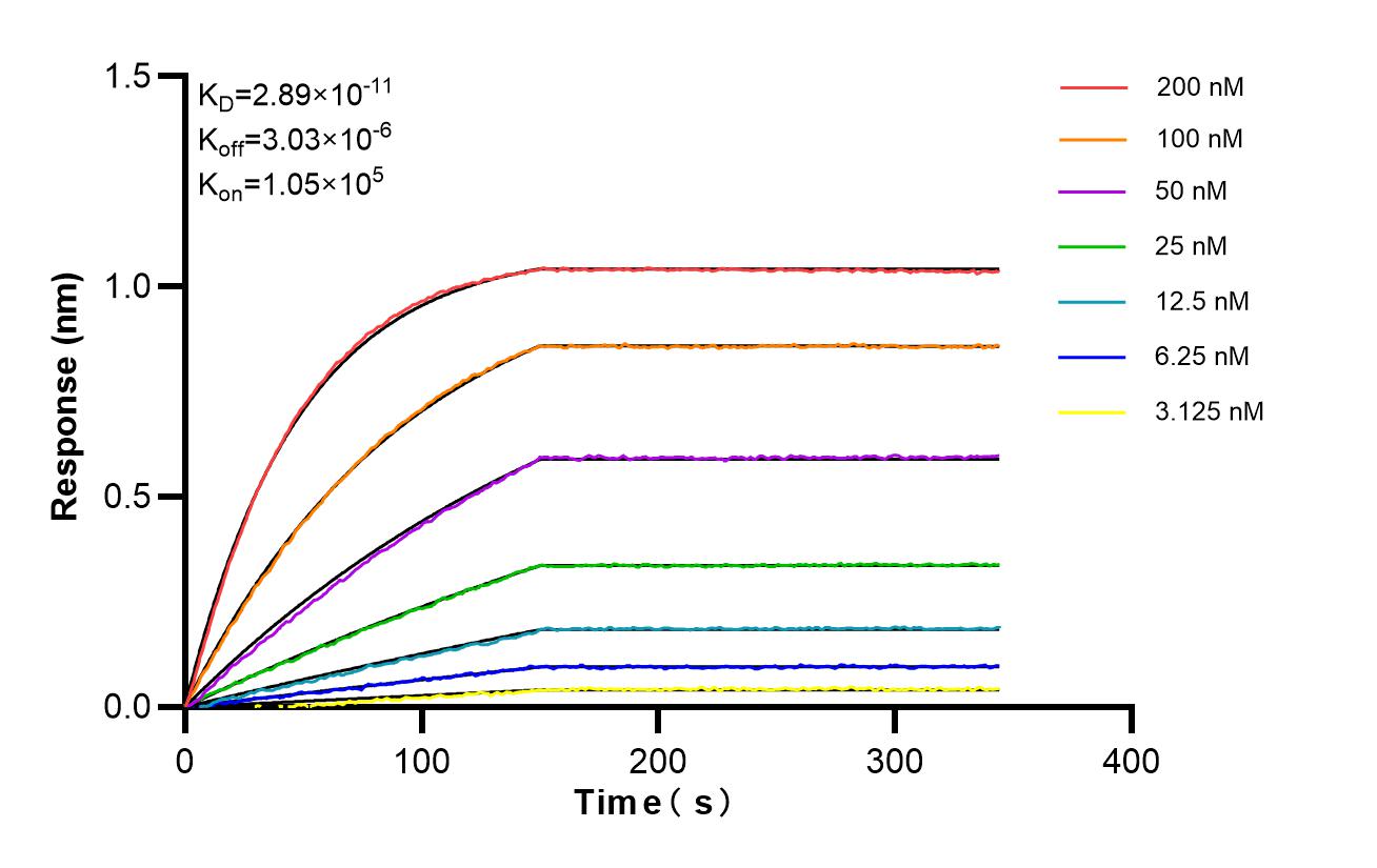 Affinity of 85805-2-RR