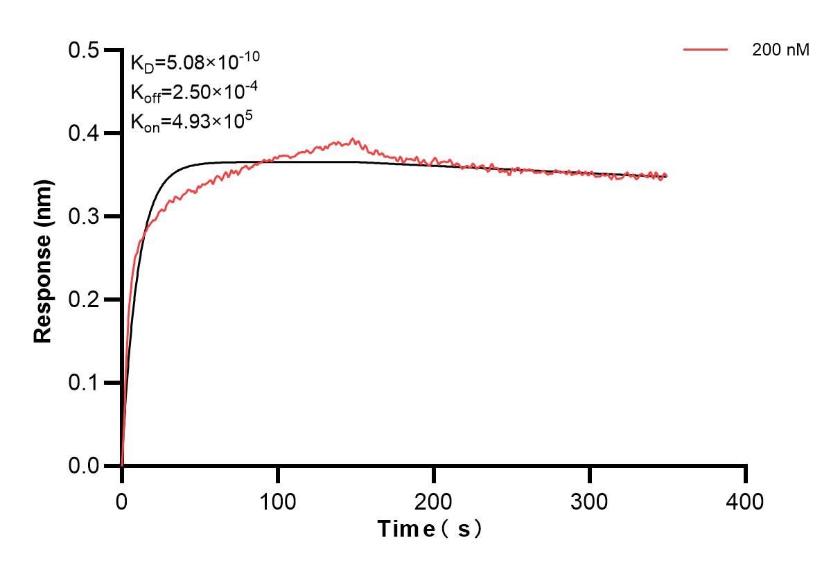Affinity and Kinetic Characterization of 85820-3-PBS