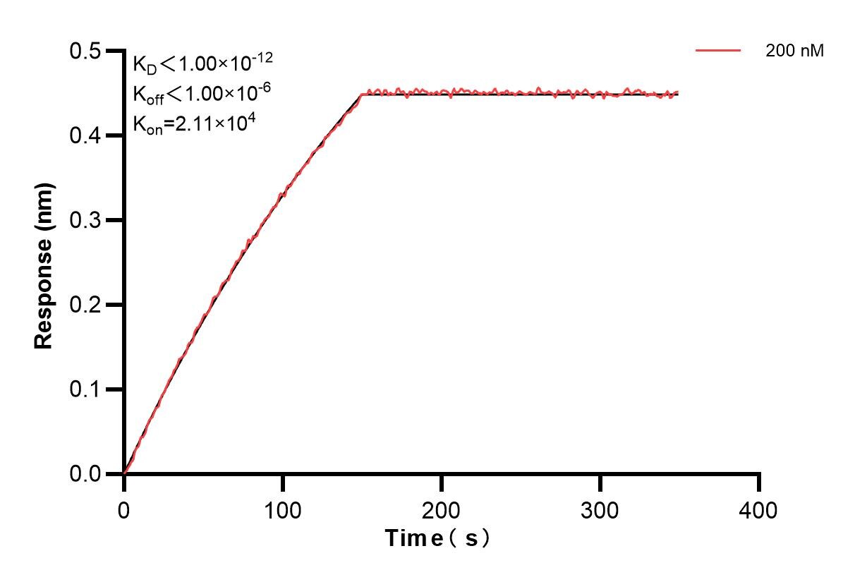 Affinity and Kinetic Characterization of 85858-3-PBS