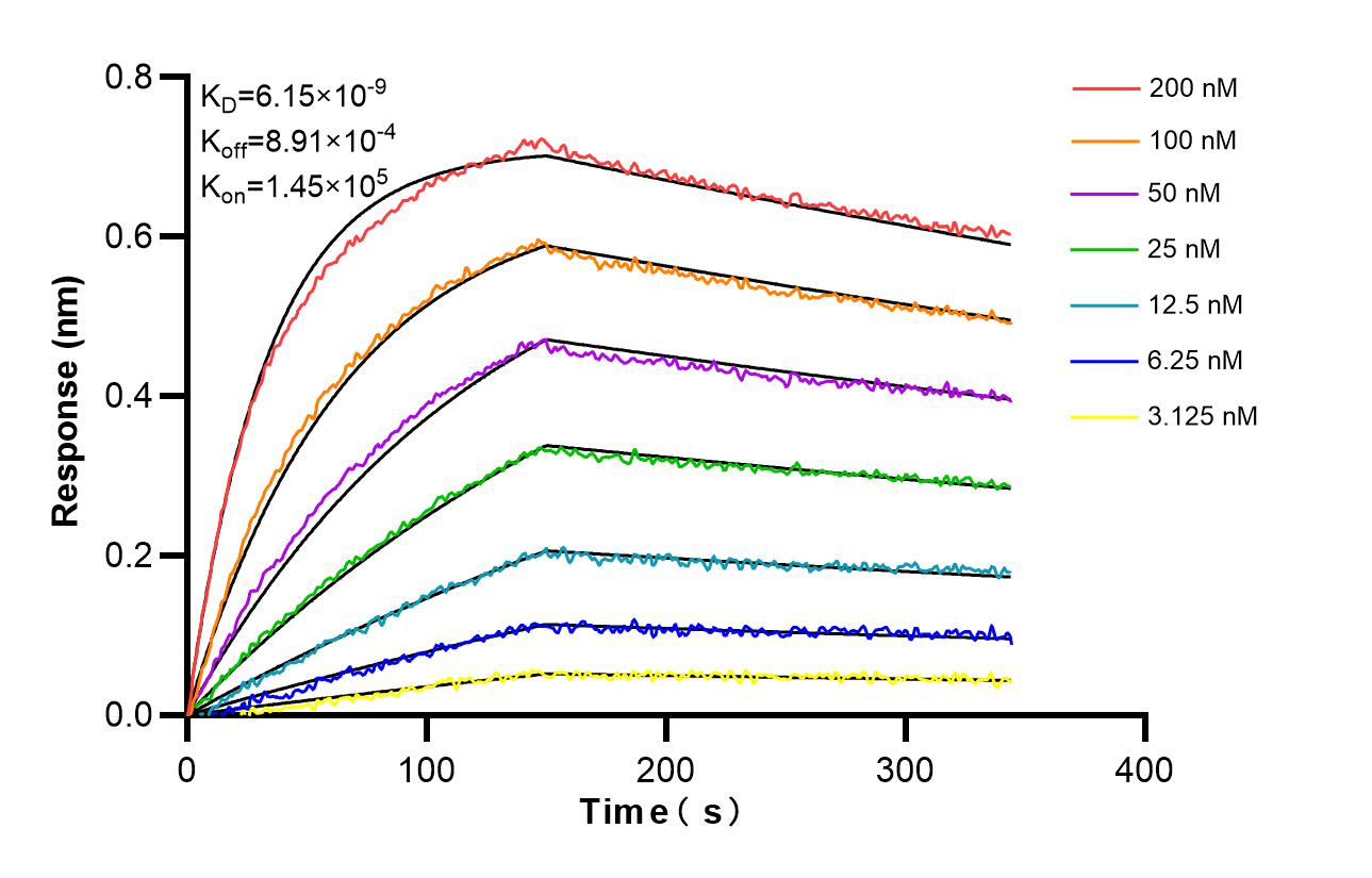 Affinity and Kinetic Characterization of 85859-5-RR