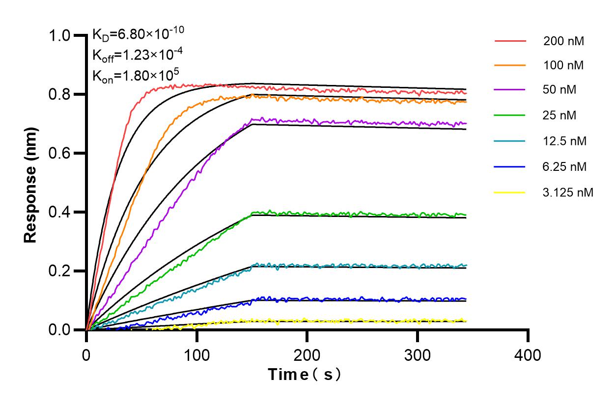 Affinity and Kinetic Characterization of 85870-4-RR