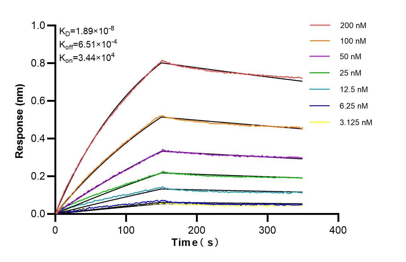 Affinity of 85871-4-RR