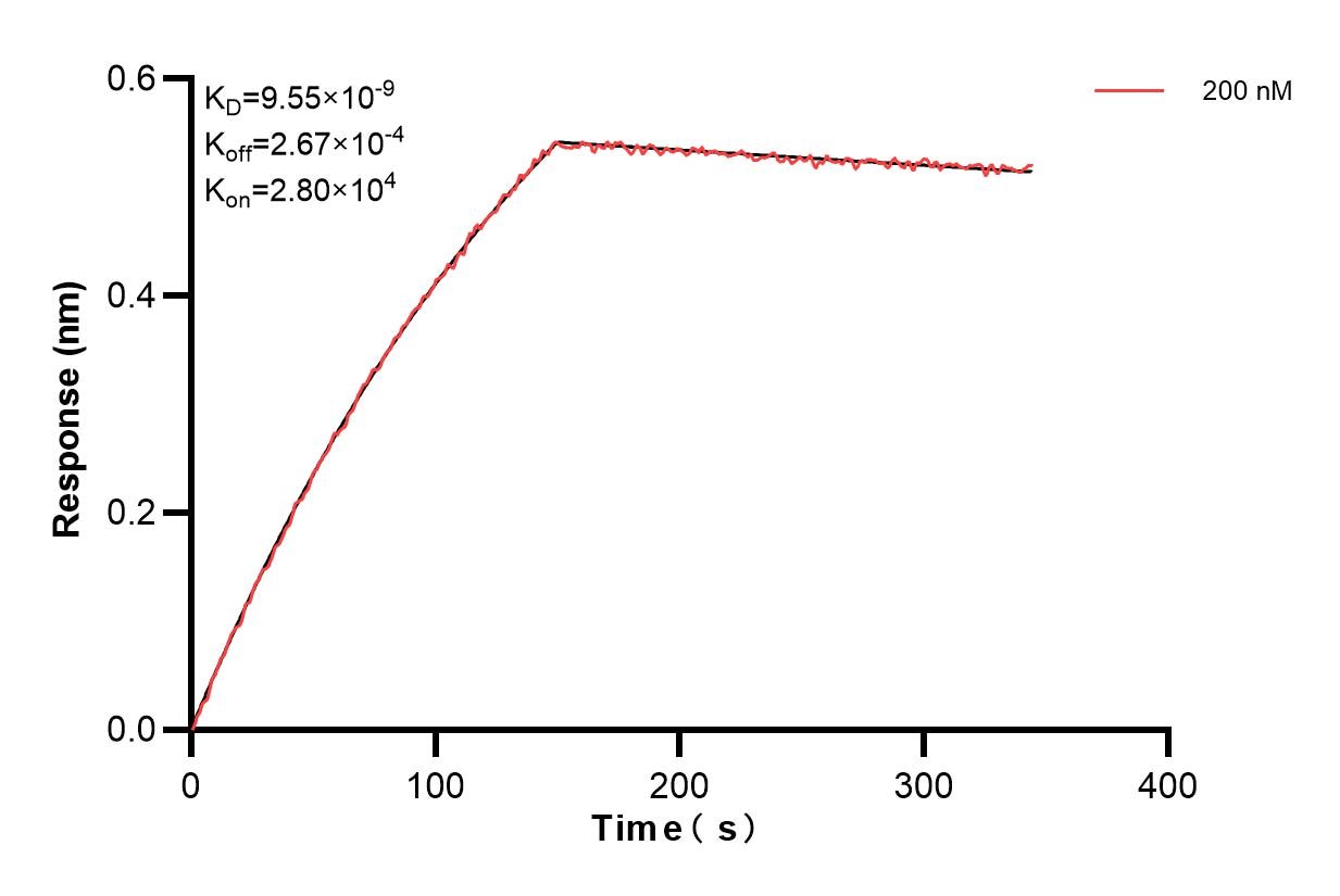 Affinity and Kinetic Characterization of 85878-2-PBS
