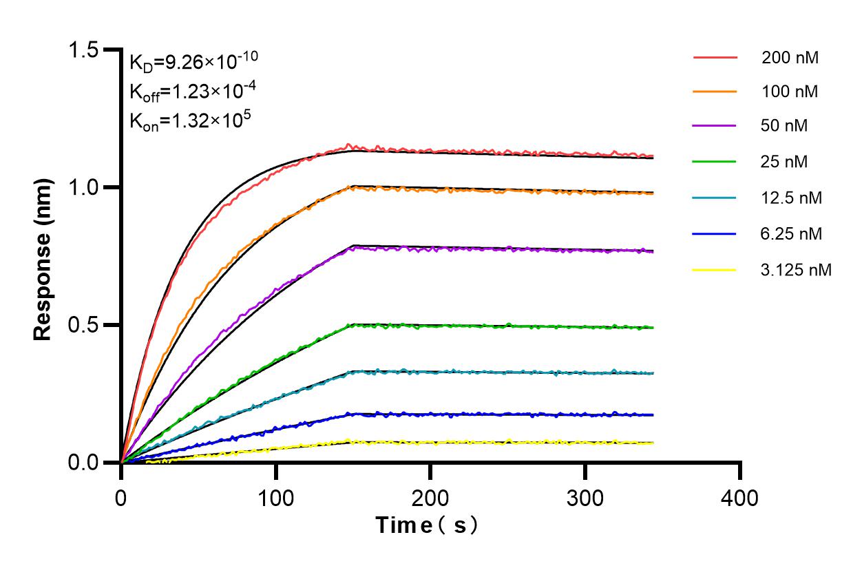 Affinity and Kinetic Characterization of 85886-4-RR