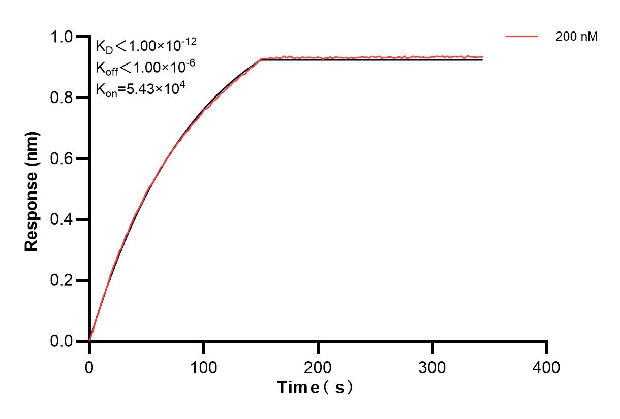 Affinity of 85905-2-PBS