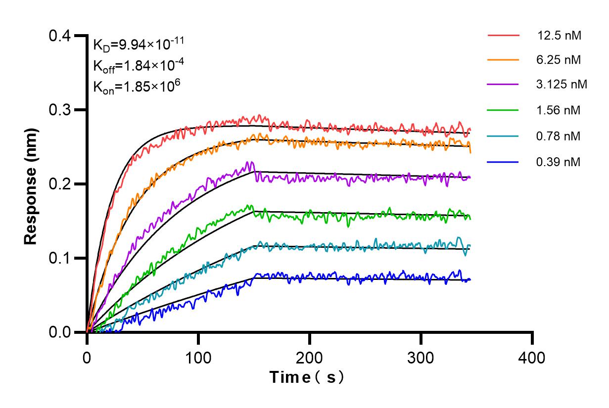 Affinity and Kinetic Characterization of 85924-1-PBS