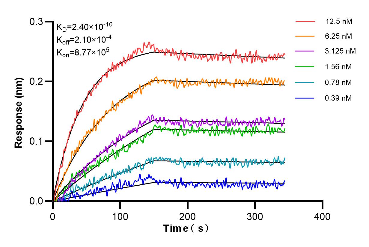 Affinity and Kinetic Characterization of 85924-2-PBS