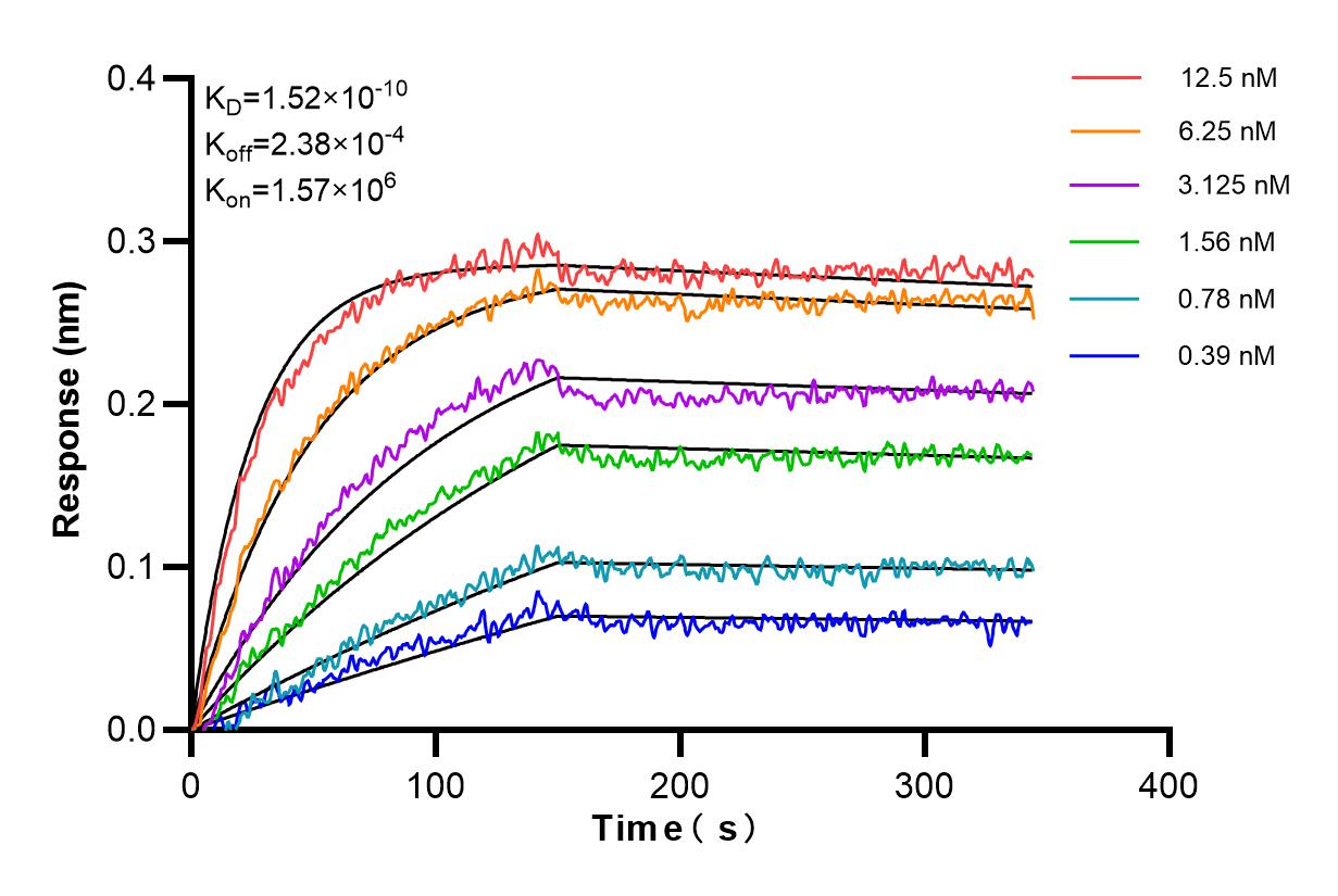 Affinity and Kinetic Characterization of 85924-3-PBS
