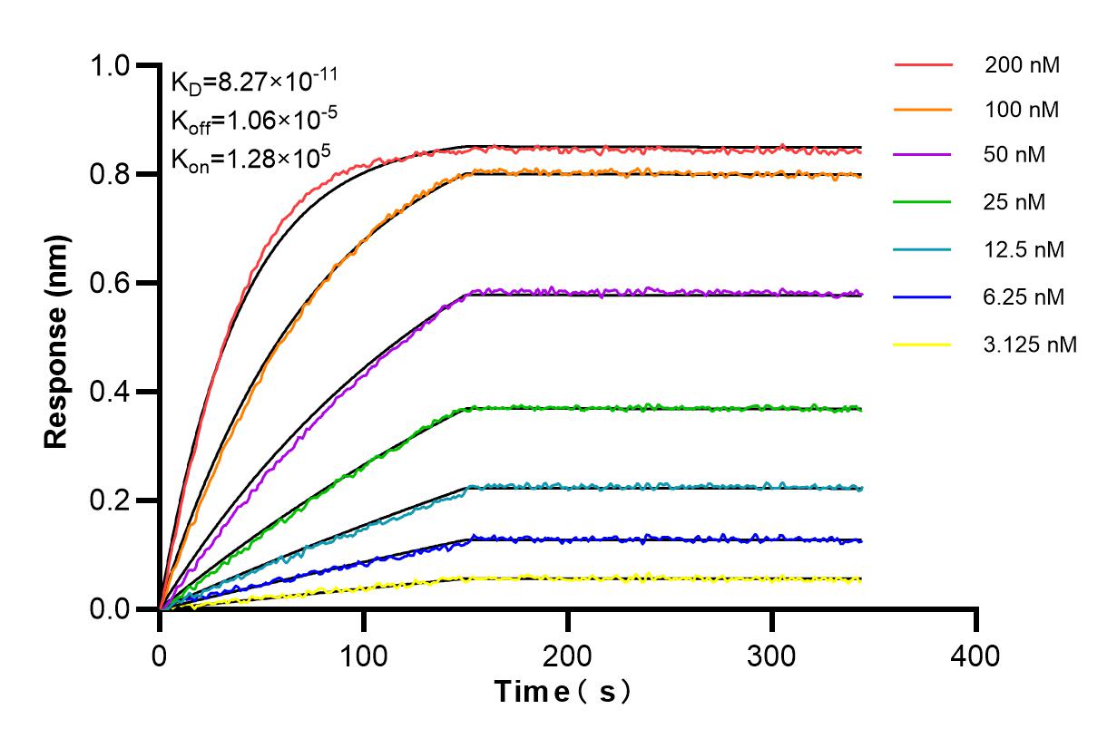 Affinity and Kinetic Characterization of 85926-2-RR