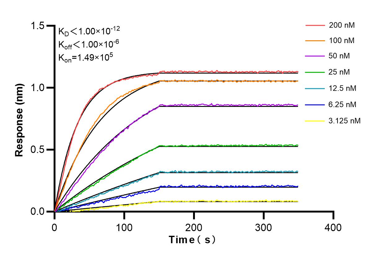 Affinity and Kinetic Characterization of 85929-1-PBS