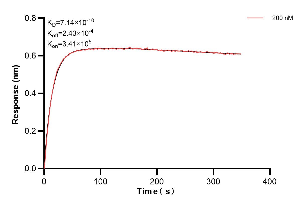 Affinity and Kinetic Characterization of 85939-2-PBS