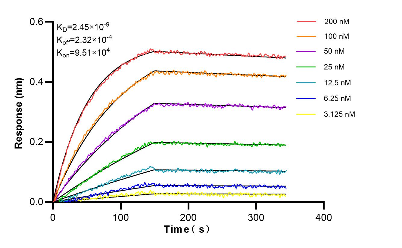 Affinity and Kinetic Characterization of 85939-5-PBS