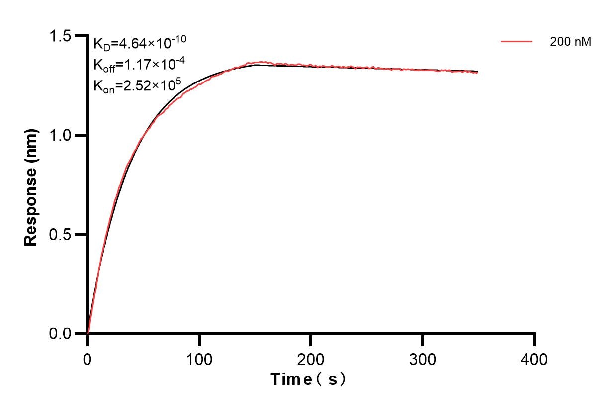 Affinity and Kinetic Characterization of 85952-2-PBS