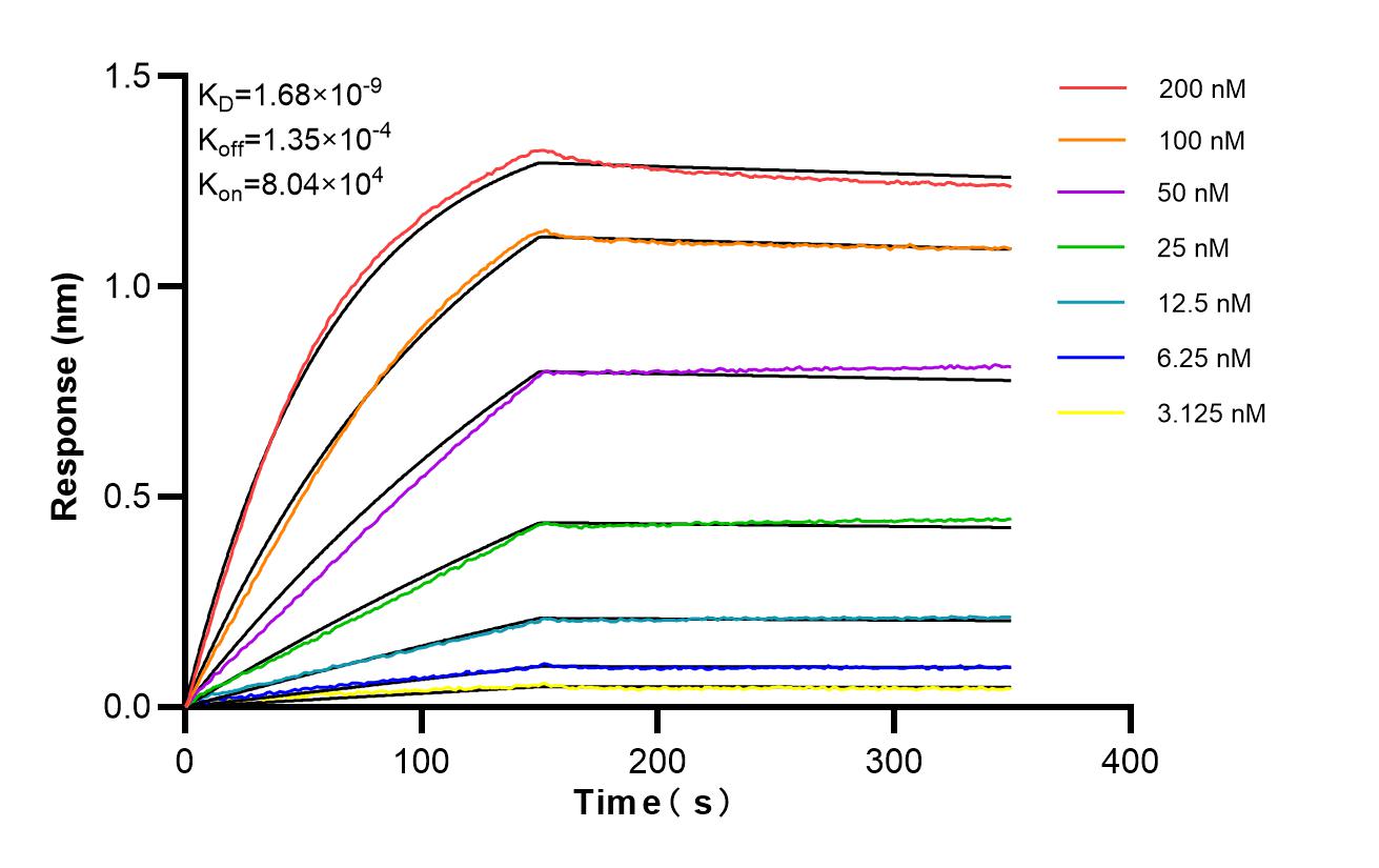 Affinity of 85953-2-PBS