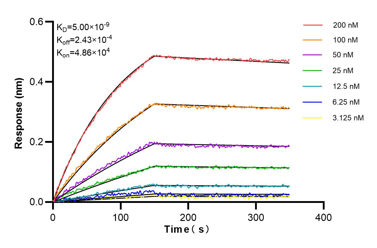 Affinity and Kinetic Characterization of 85960-1-RR