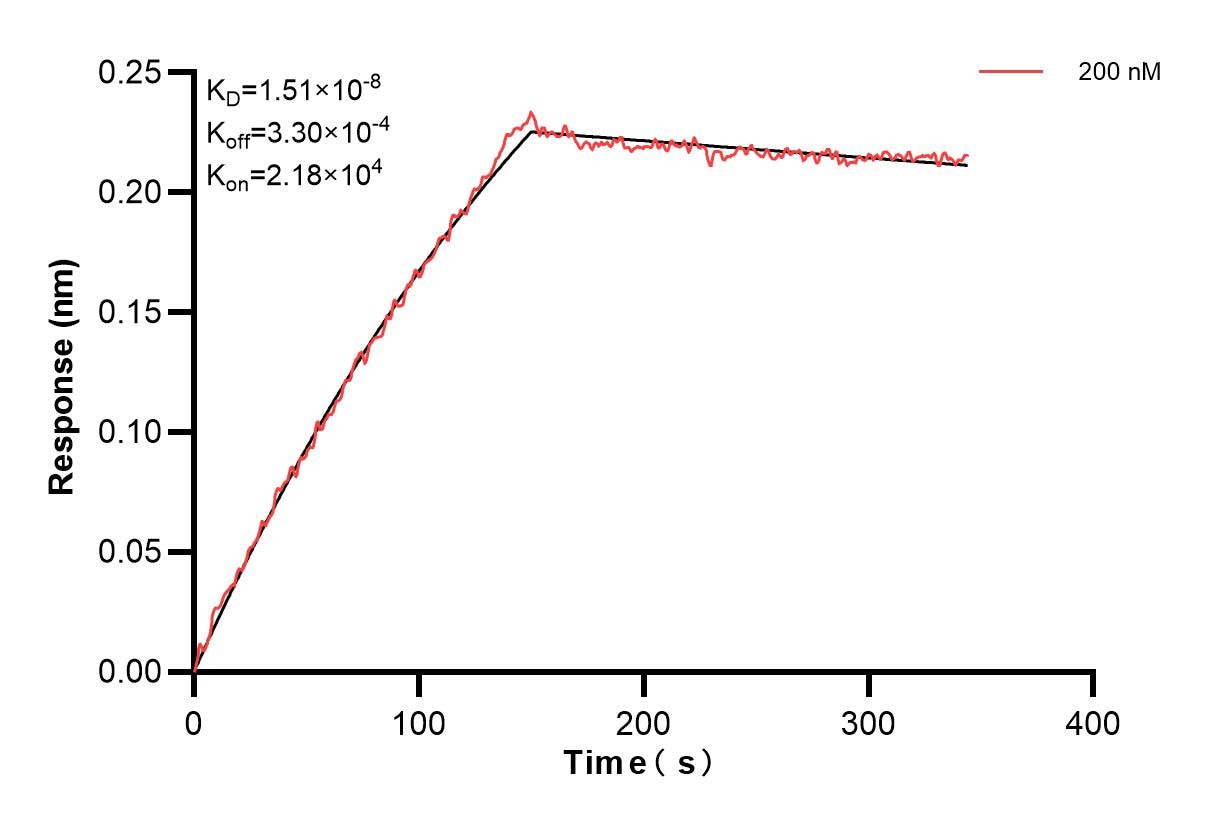 Biolayer interferometry (BLl) kinetic assay of 85989-4-PBS against Human ADAM10 was performed. The affinity constant is 15.1 nM. Affinity of 85989-4-PBS