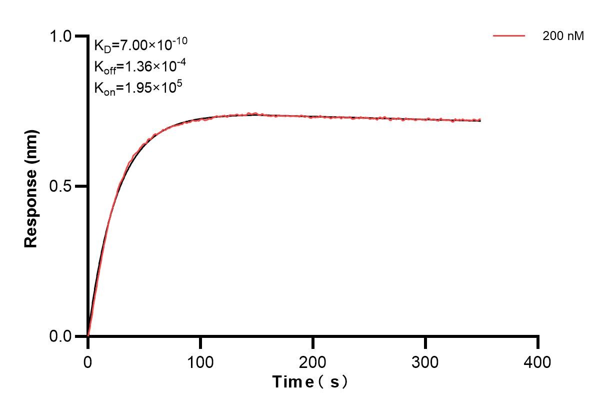 Biolayer interferometry (BLl) kinetic assay of 85993-3-PBS against Human S100A7 was performed. The affinity constant is 0.700 nM. Affinity and Kinetic Characterization of 85993-3-PBS