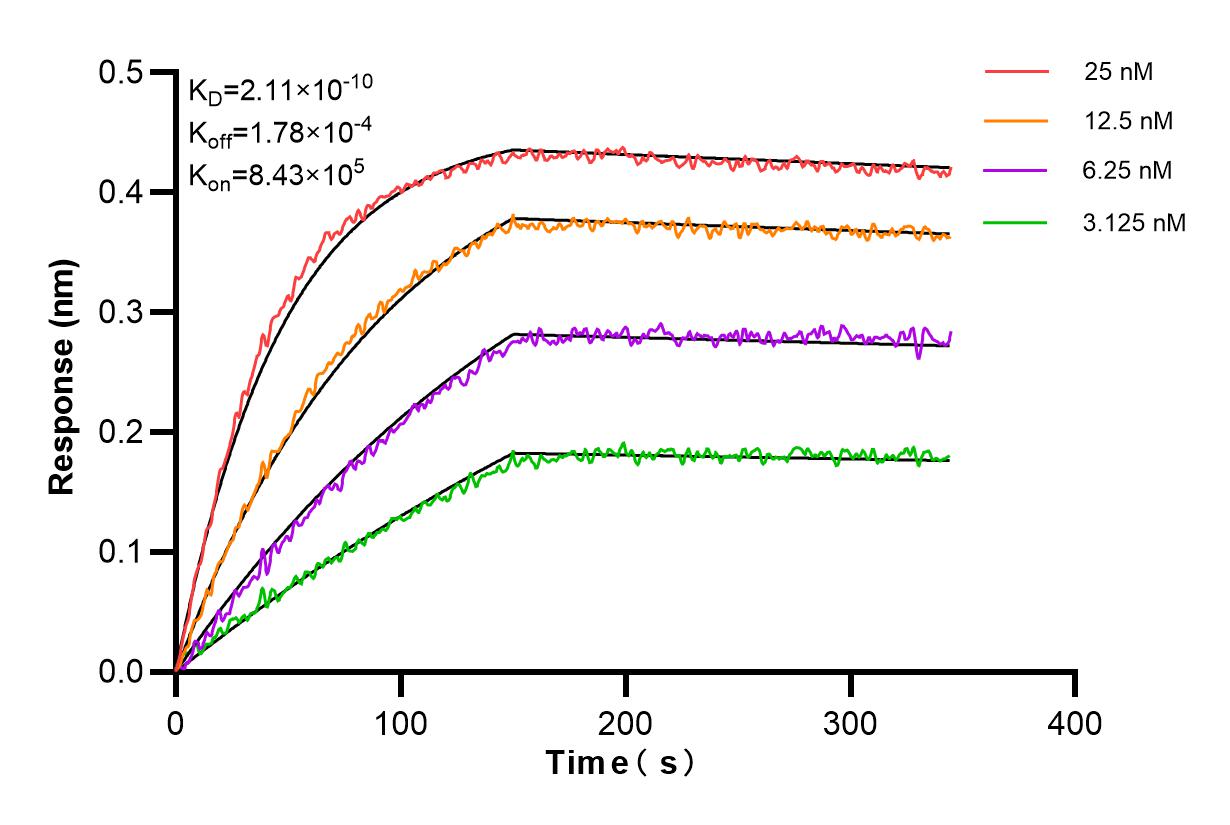 Affinity and Kinetic Characterization of 85998-1-RR