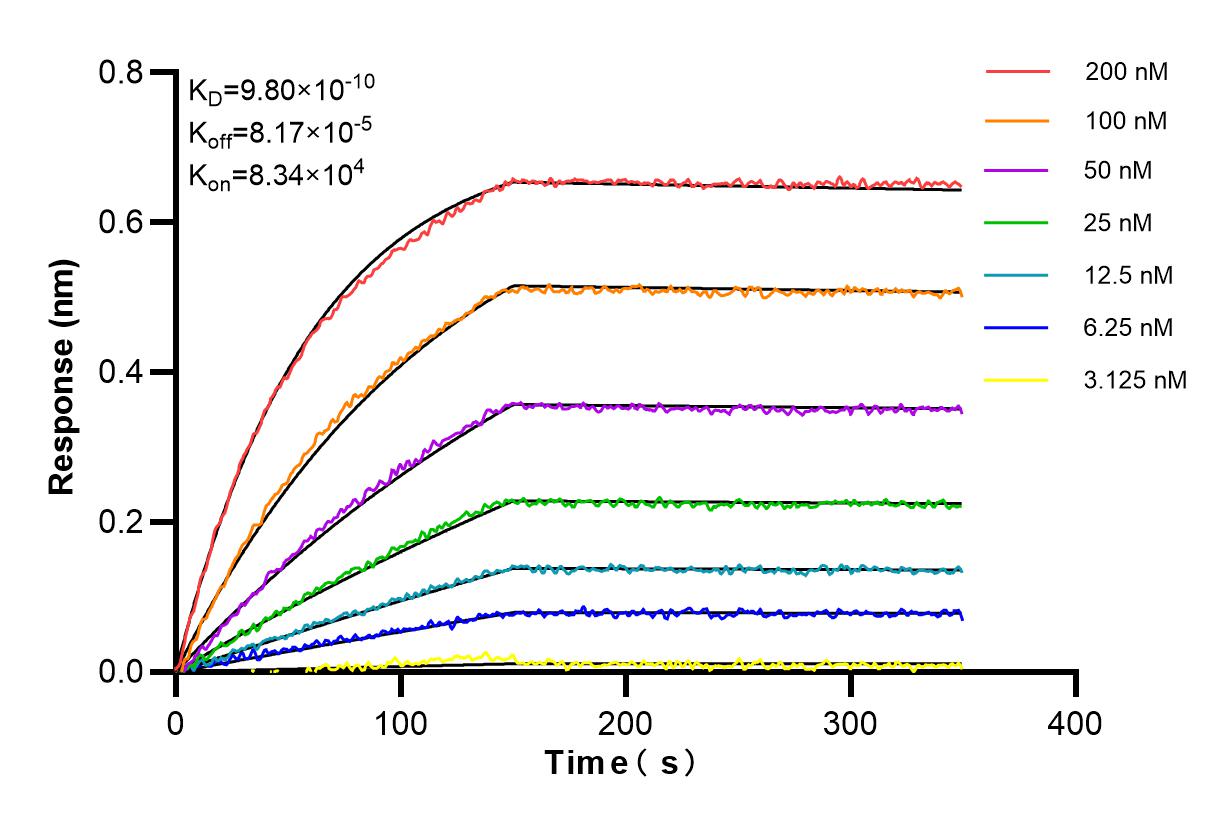 Affinity and Kinetic Characterization of 85999-1-RR