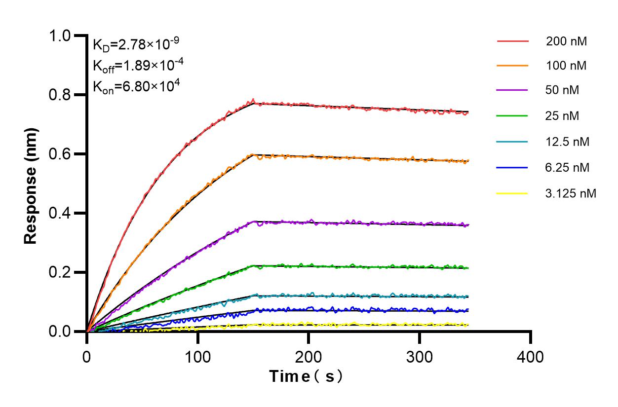 Affinity and Kinetic Characterization of 86000-1-RR