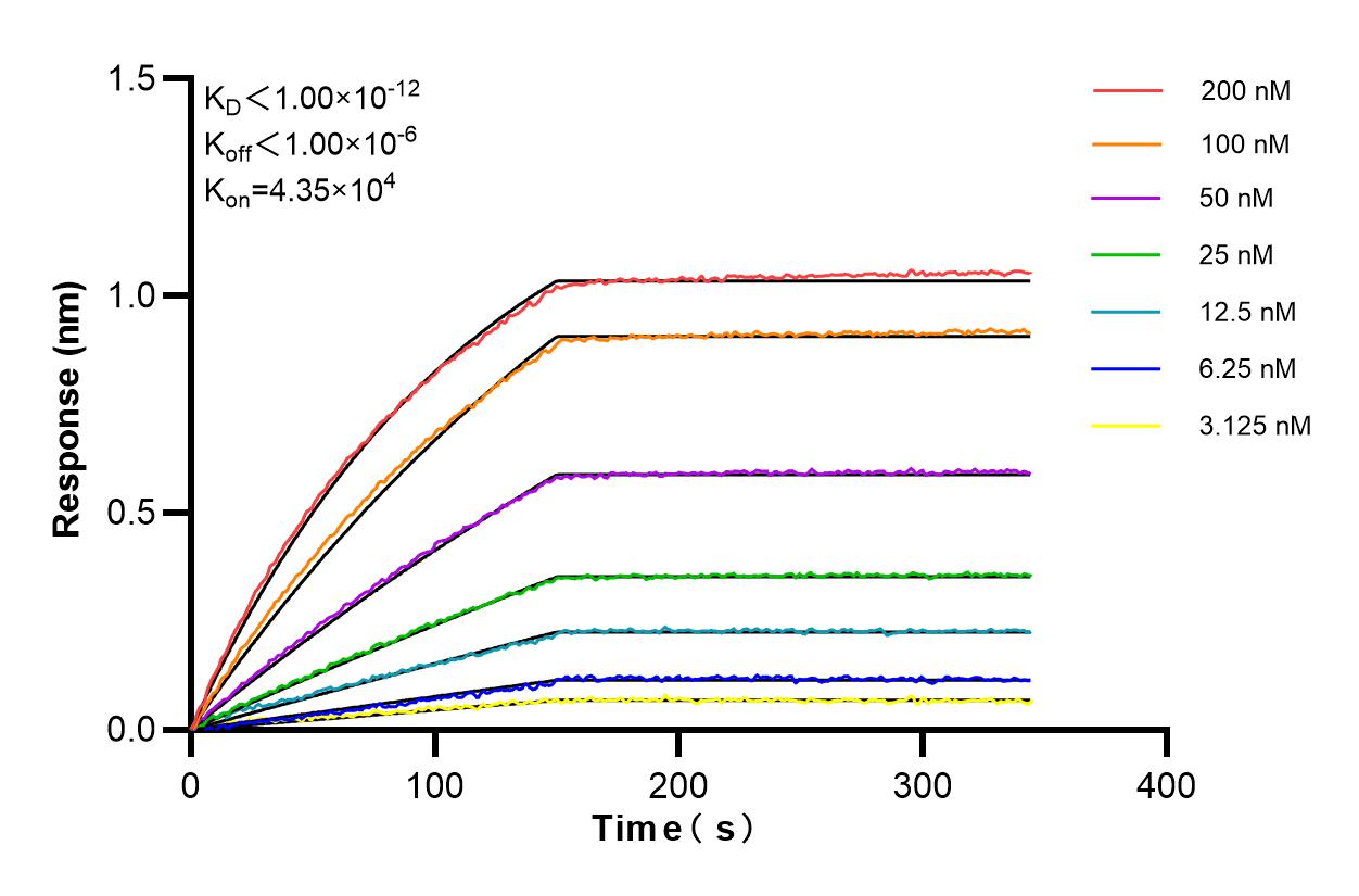 Affinity and Kinetic Characterization of 86001-1-RR