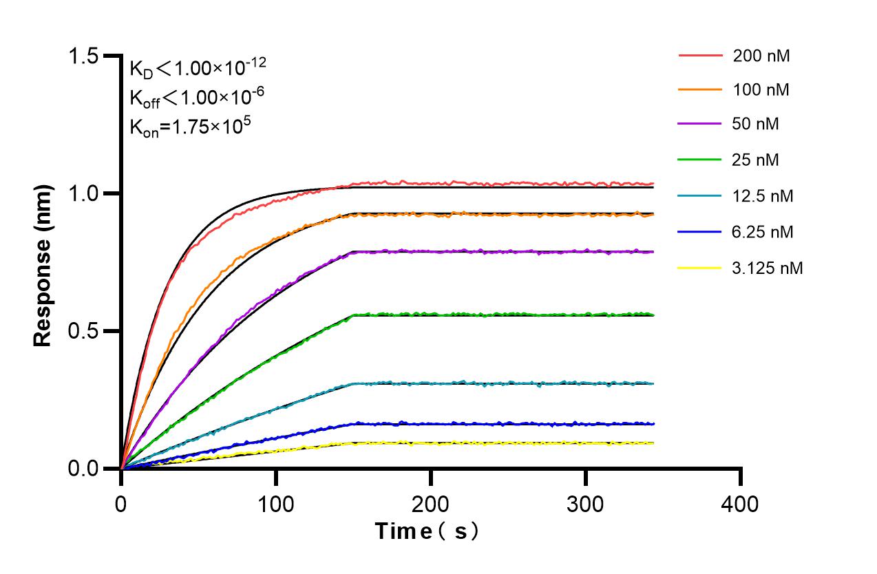 Affinity and Kinetic Characterization of 86004-2-RR