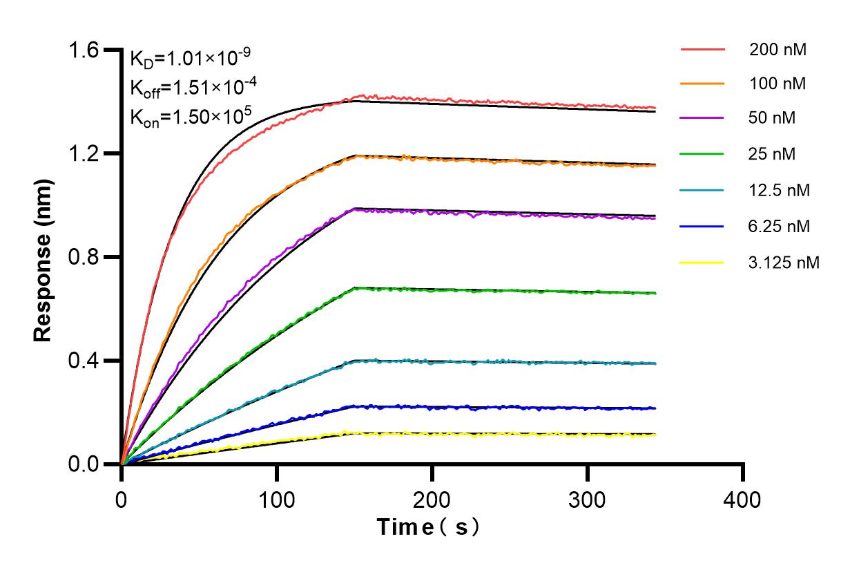 Affinity and Kinetic Characterization of 86008-1-RR