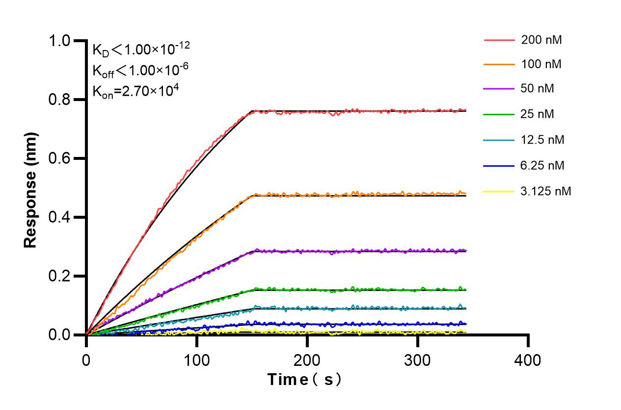 Affinity and Kinetic Characterization of 86044-1-RR