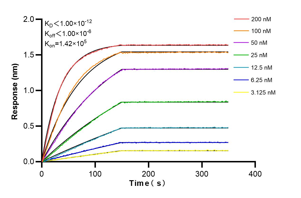 Affinity and Kinetic Characterization of 86045-2-RR
