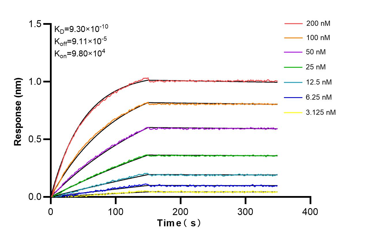 Affinity and Kinetic Characterization of 86048-1-RR