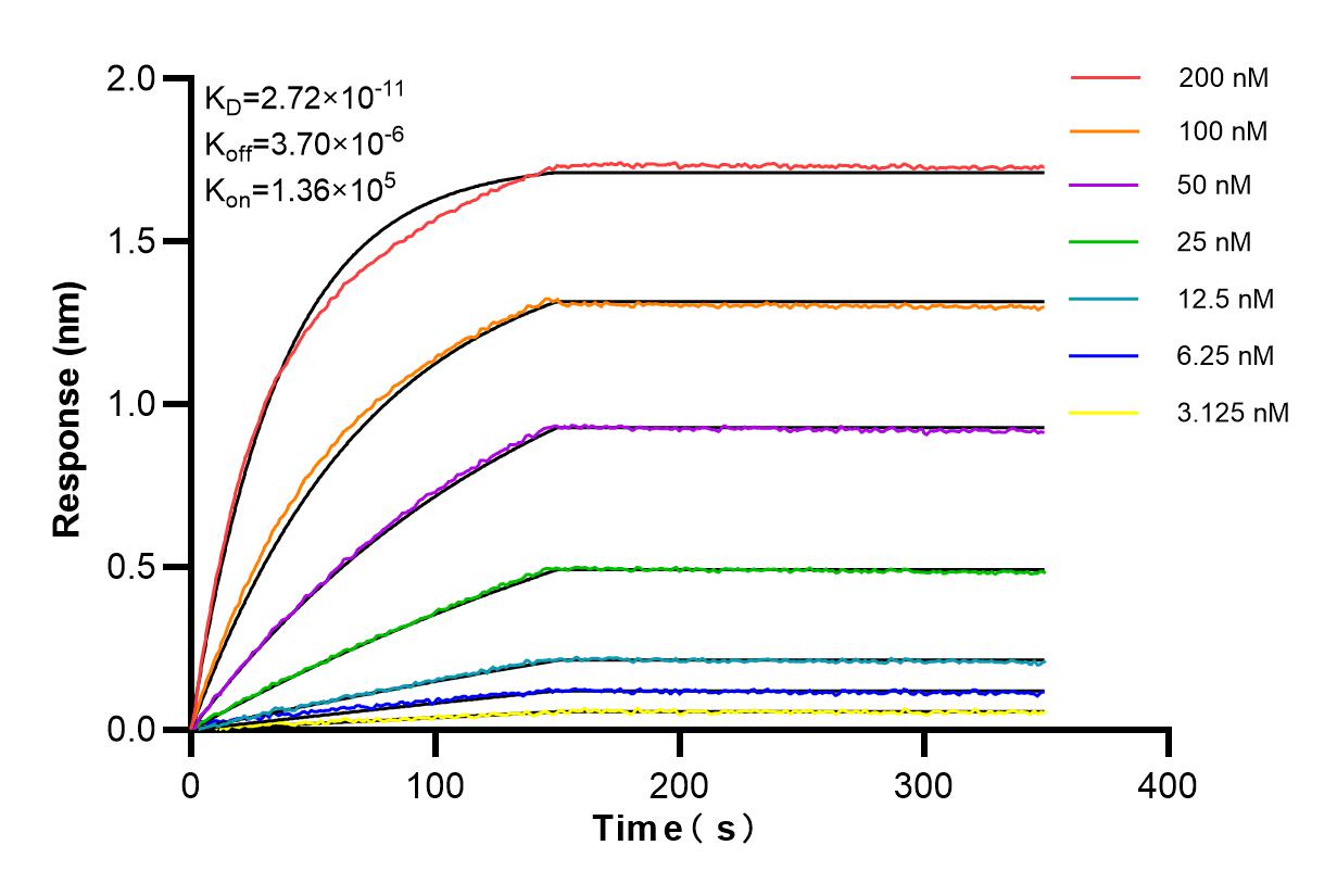 Affinity and Kinetic Characterization of 86051-1-RR