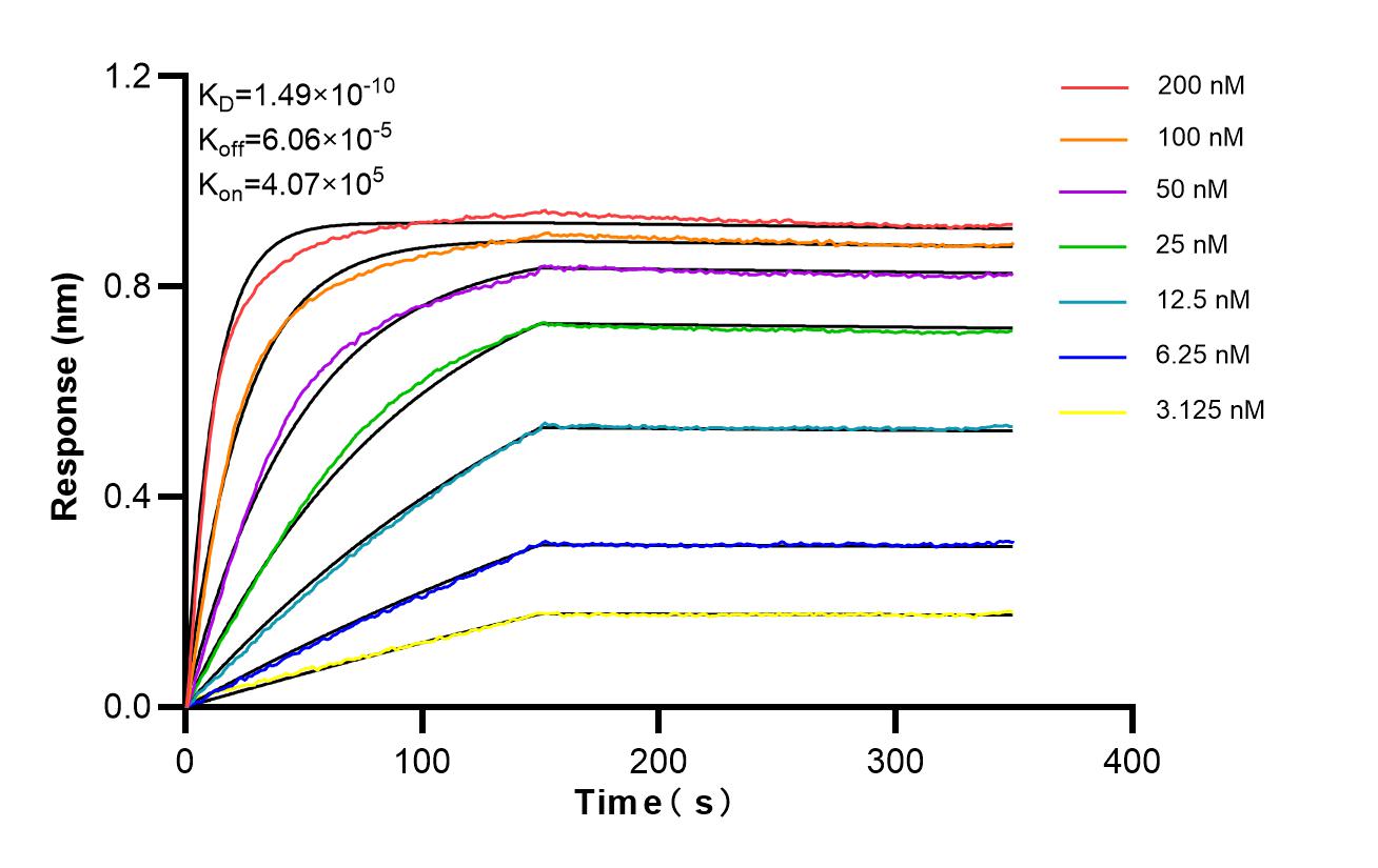 Affinity of 86052-4-RR