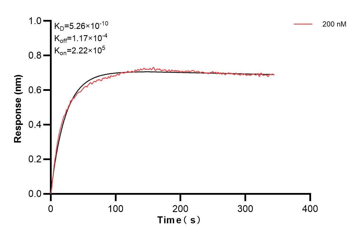 Biolayer interferometry (BLl) kinetic assays of 86057-4-PBS against Human Peripherin were performed. The affinity constant is 0.526 nM. Affinity and Kinetic Characterization of 86057-4-PBS