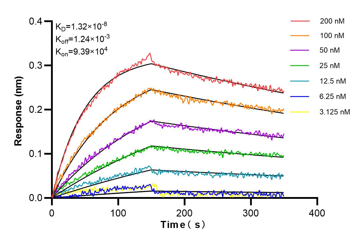 Affinity and Kinetic Characterization of 86063-2-RR