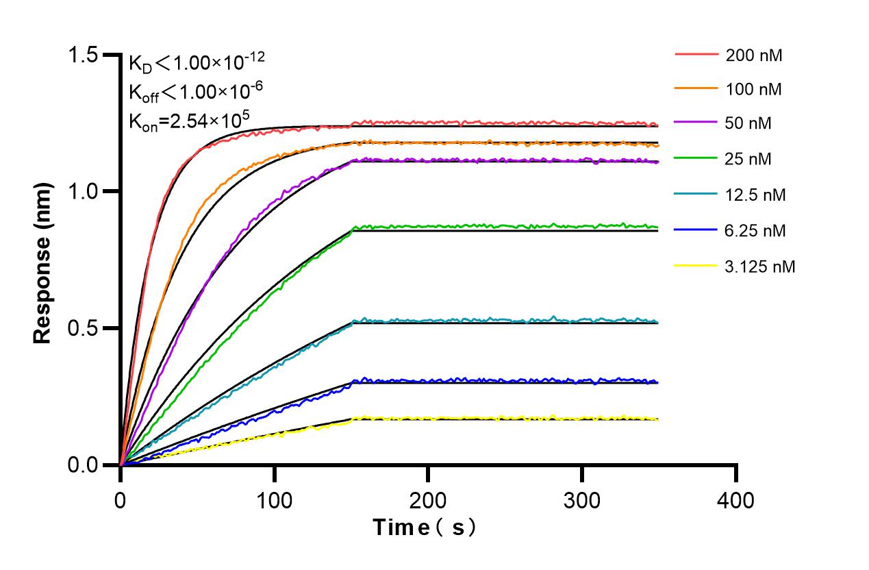Affinity and Kinetic Characterization of 86065-1-RR