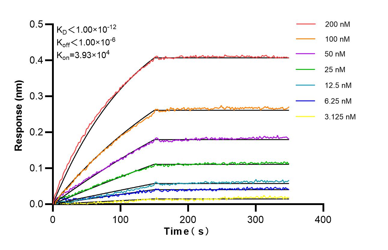 Affinity of 86071-4-RR