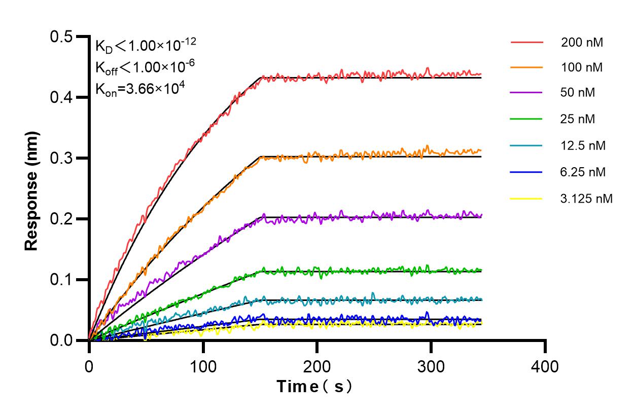 Affinity and Kinetic Characterization of 86088-2-RR