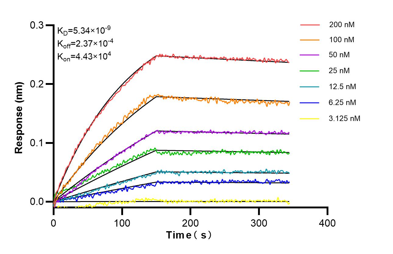 Affinity of 86107-1-RR