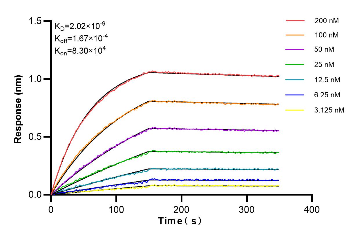 Affinity and Kinetic Characterization of 86109-1-RR