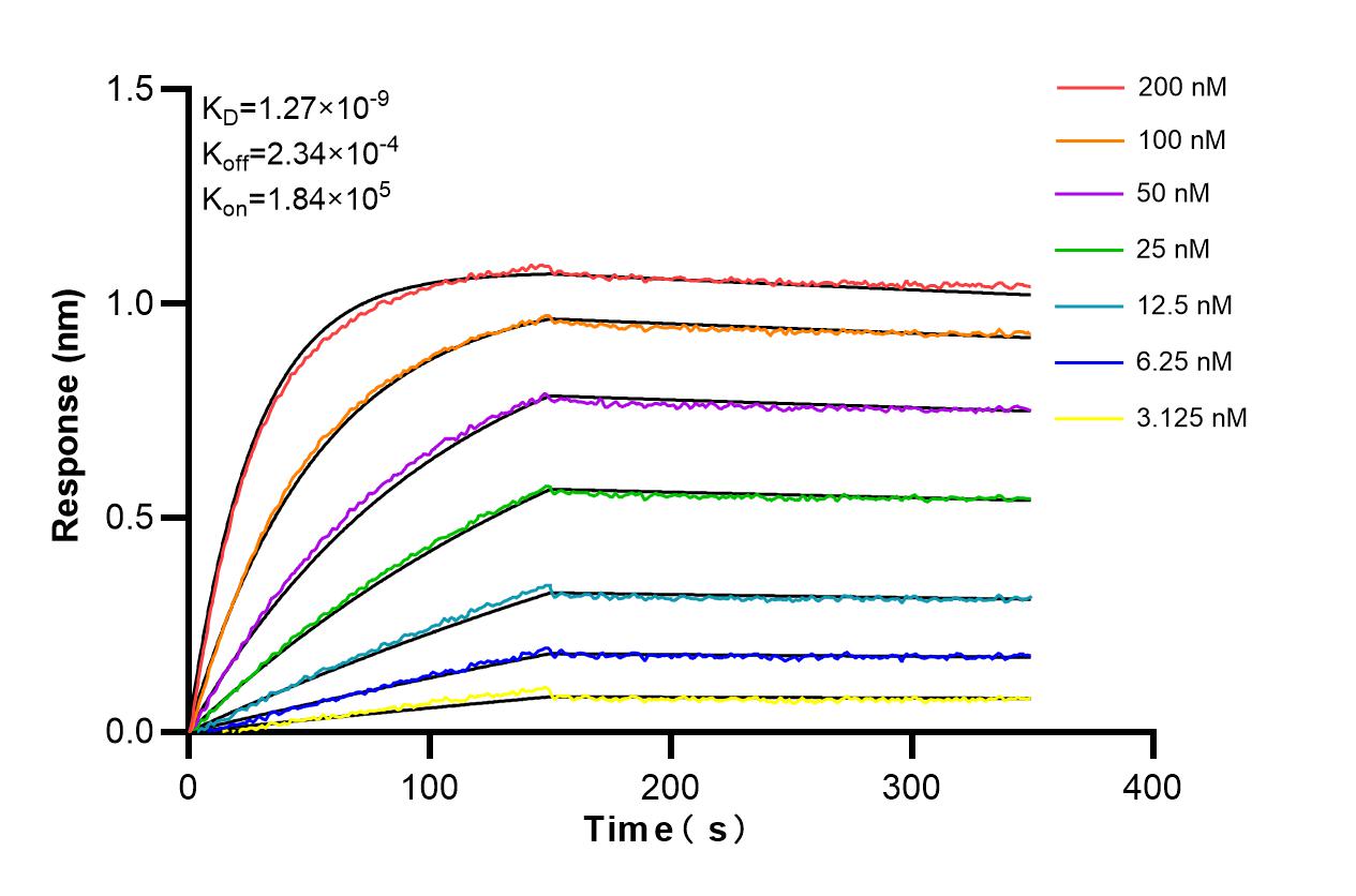 Affinity and Kinetic Characterization of 86112-1-RR