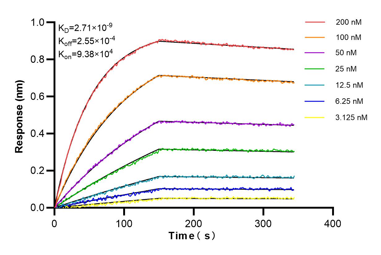 Affinity and Kinetic Characterization of 86115-1-PBS