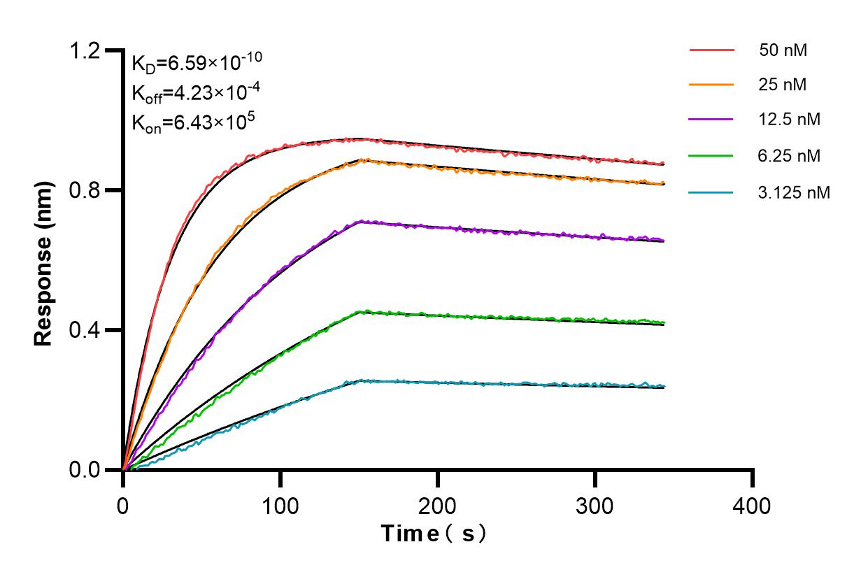 Affinity and Kinetic Characterization of 86115-2-PBS