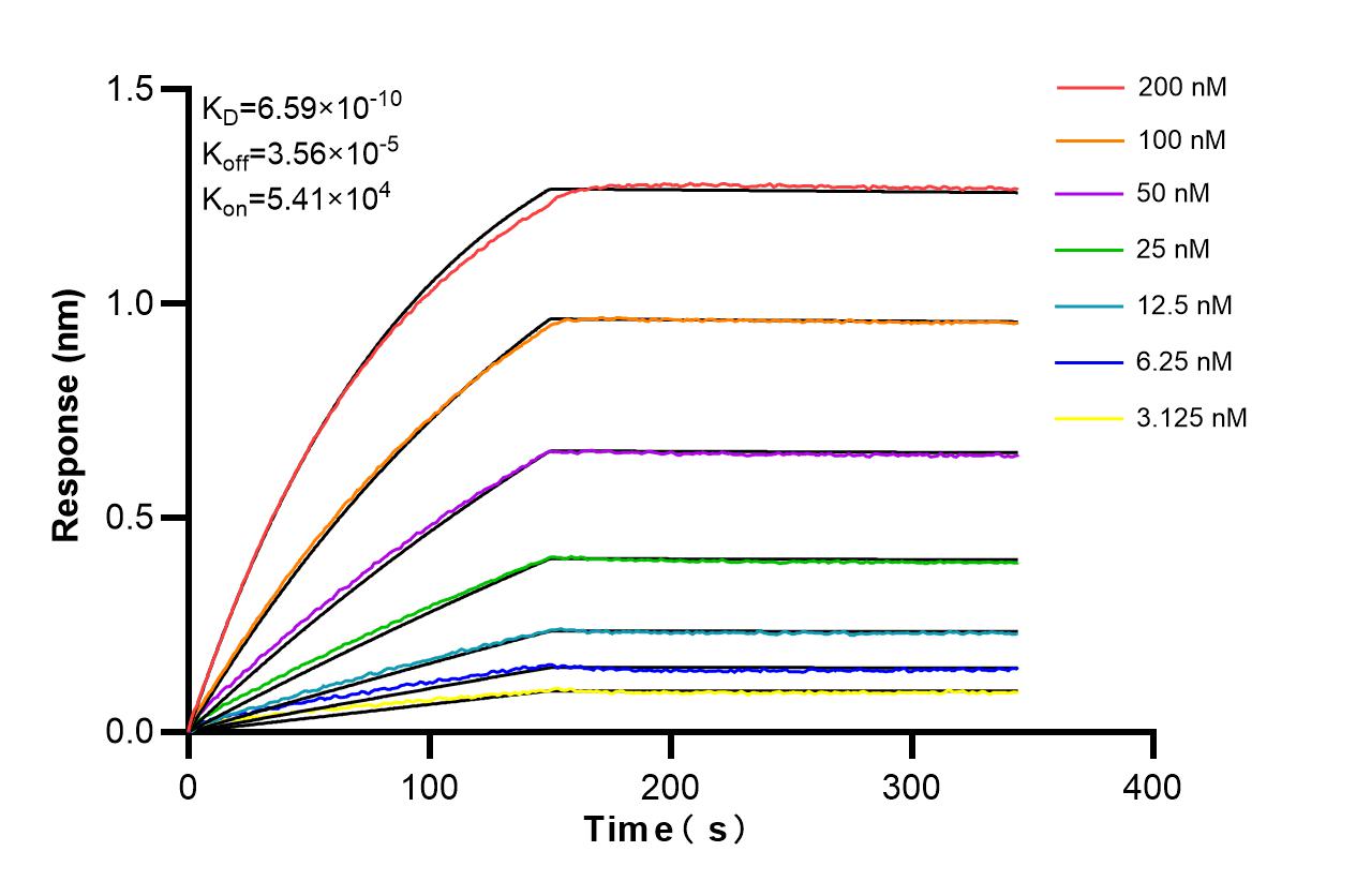 Affinity and Kinetic Characterization of 86122-1-RR