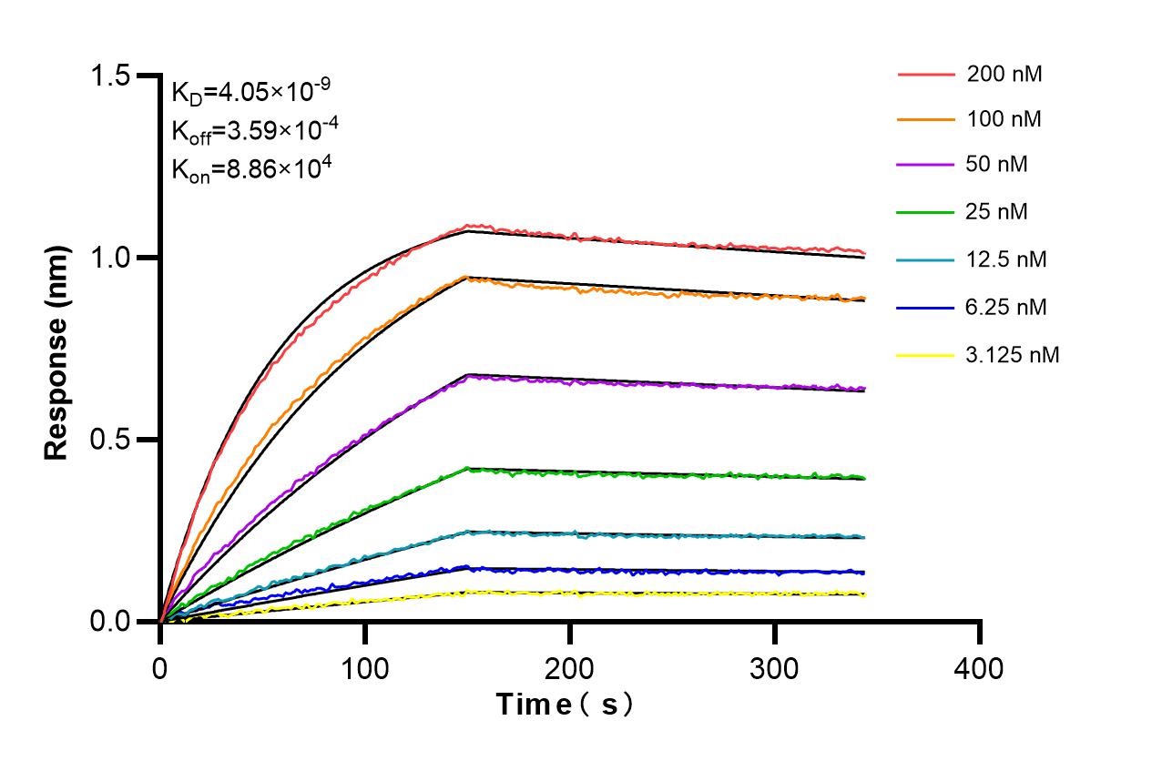 Affinity and Kinetic Characterization of 86131-1-RR