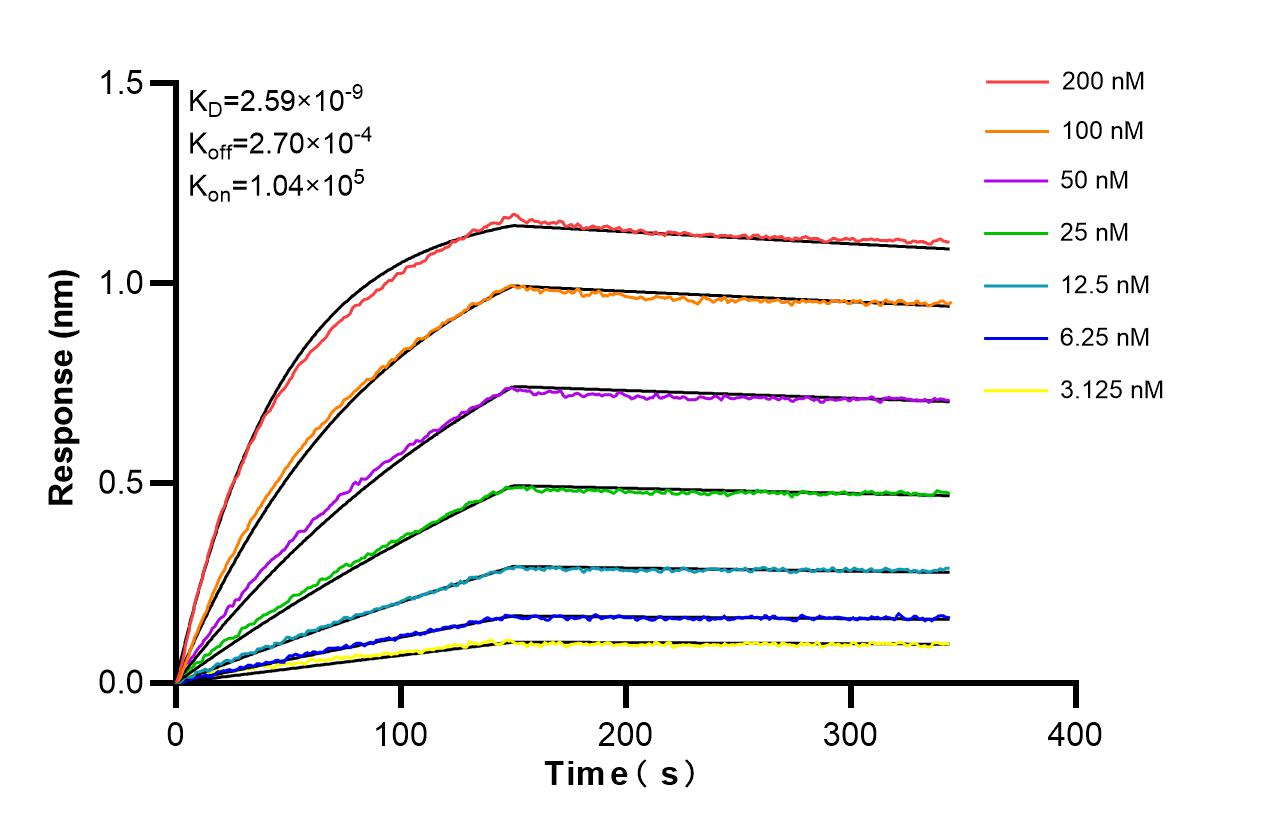 Affinity and Kinetic Characterization of 86131-2-RR