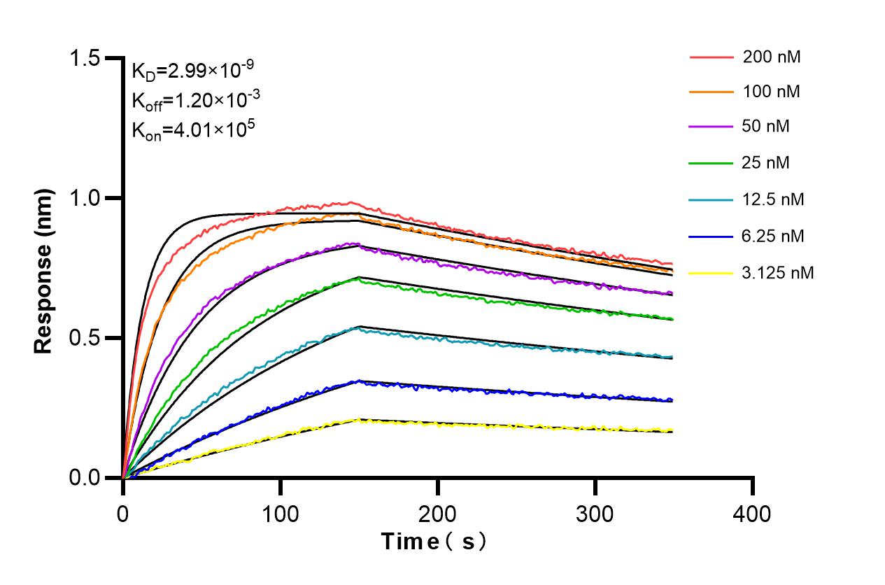 Affinity and Kinetic Characterization of 86132-1-RR