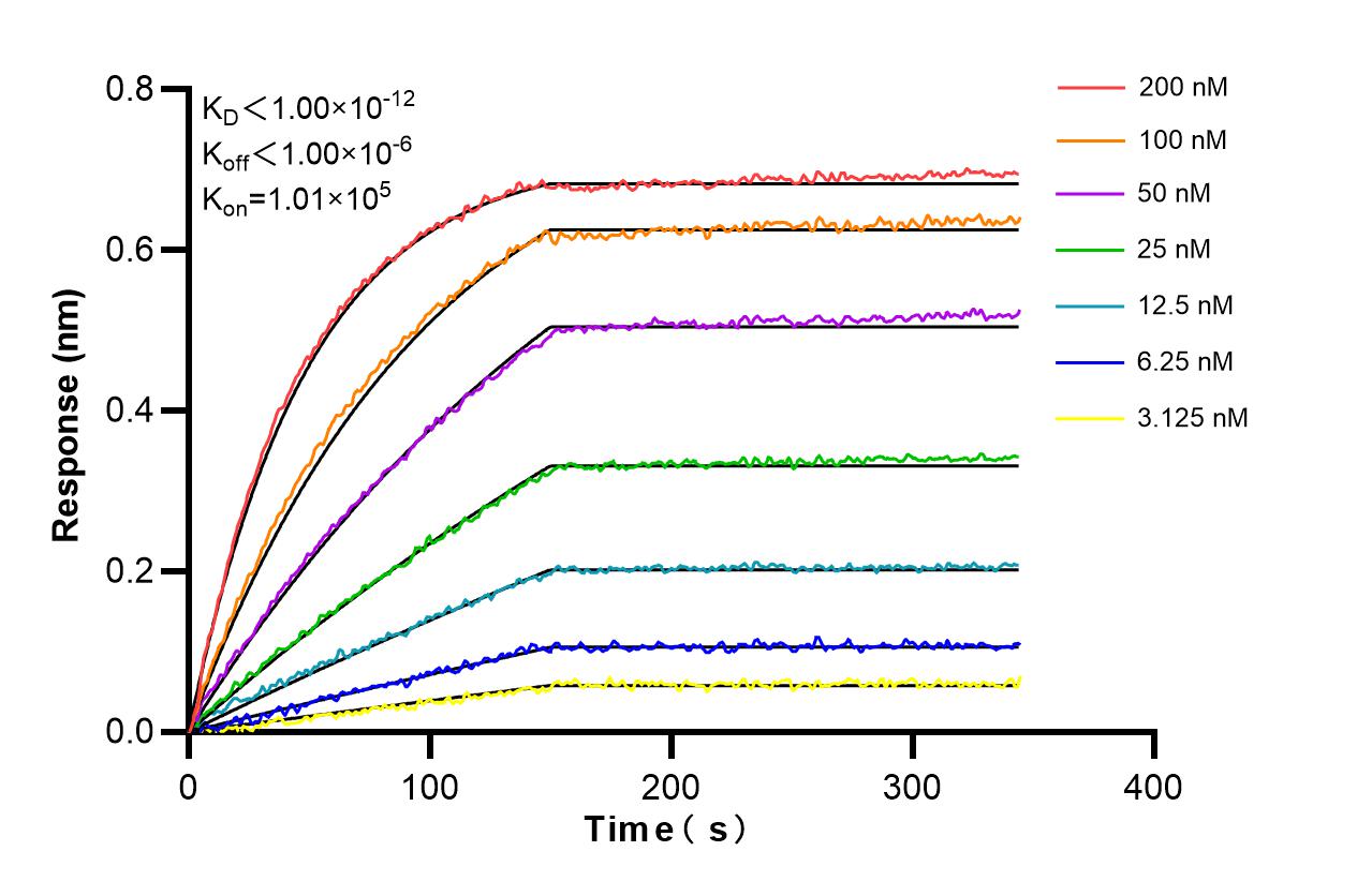 Affinity and Kinetic Characterization of 86140-1-RR