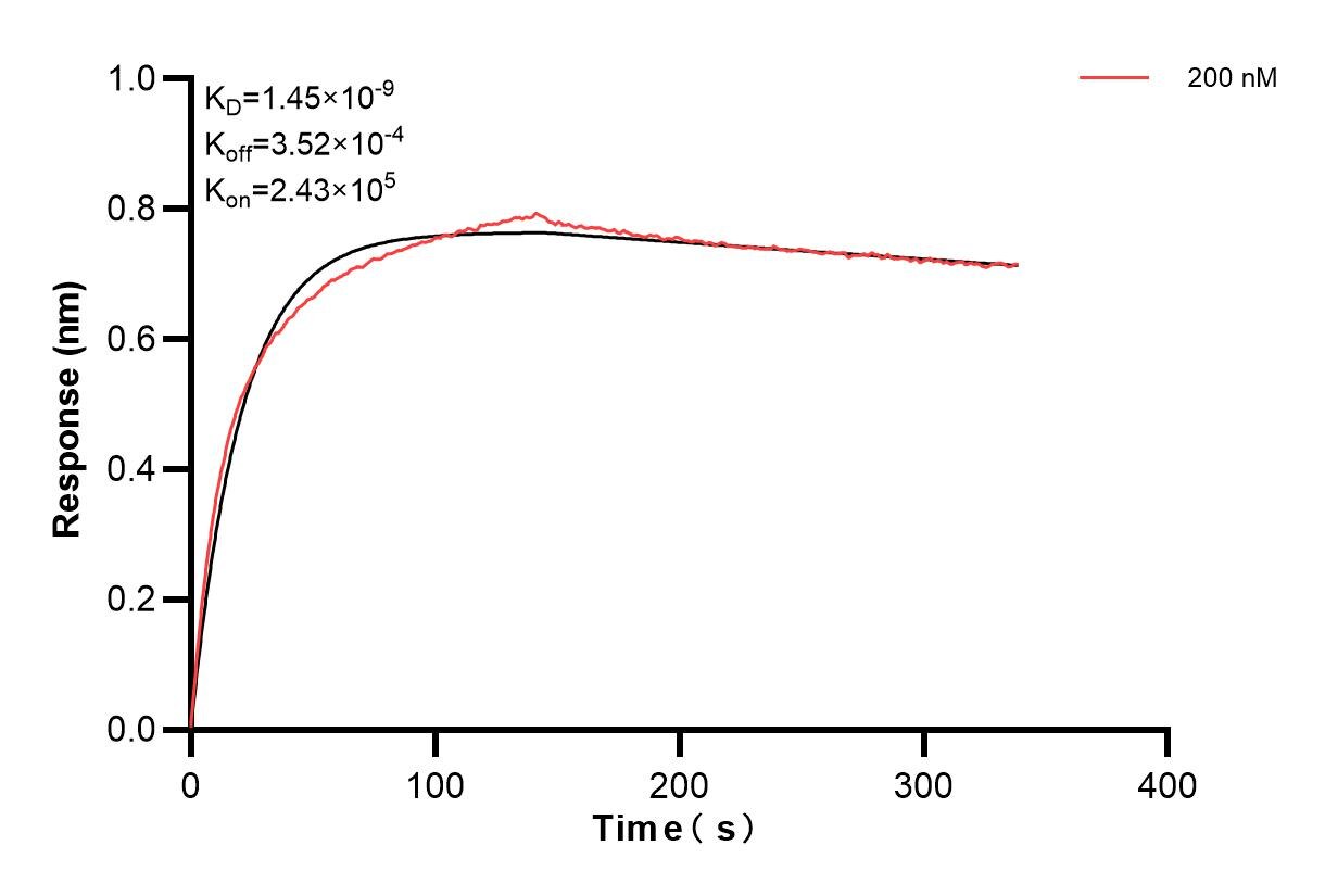 Affinity and Kinetic Characterization of 86155-2-PBS Affinity and Kinetic Characterization of 86155-2-PBS