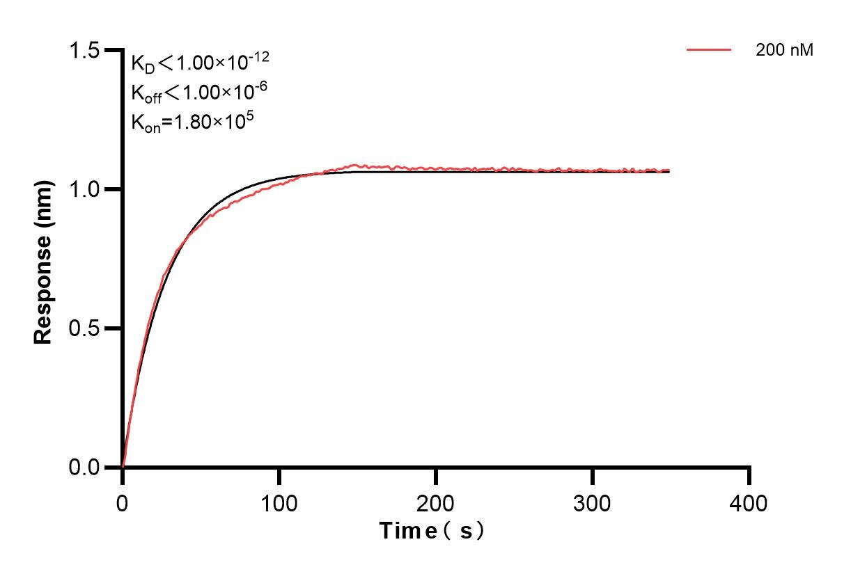 Biolayer interferometry (BLl) kinetic assay of 86155-3-PBS against Human TACSTD2 was performed. The affinity constant is below 1 pM. Affinity and Kinetic Characterization of 86155-3-PBS