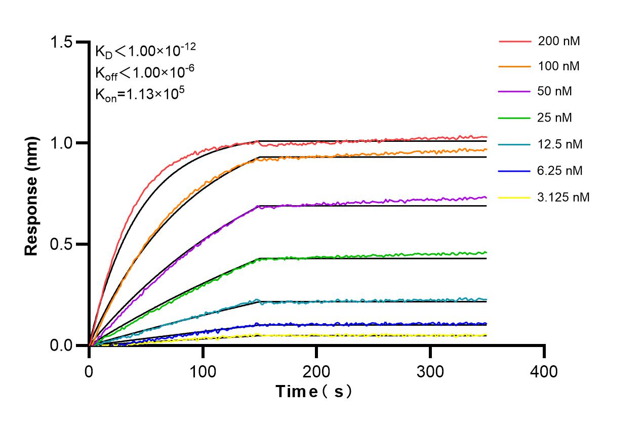 Affinity and Kinetic Characterization of 86164-2-RR